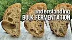 Understanding BULK fermentation. The KEY step for OPEN ...