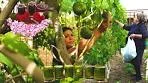 Unripe Fig Jam | Rose Jam | Grape Leaves for the winter from ...