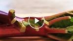 Video: How to Make Rhubarb Compote