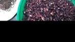 We make our spicy zobo drink with 5 simple natural ...