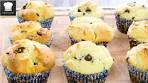 Yogurt Chocolate Chip Muffins
