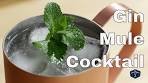 🔞 How To Make A Gin Mule Cocktail