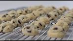 Chocolate Chip Cheesecake Cookie Bites