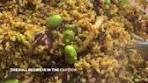 12/30: Spicy Quinoa - RECIPE ⬇️ An easy way to elevate ...