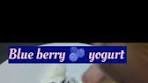 Blueberry Yogurt Bliss! A Creamy, Tangy Treat You Can't ...