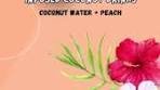 Catch a wave of flavor with Sunny Beach Coconut—where ...