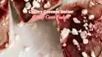 Cherry Coconut Butter Candy Cane Fudge! Made w Coconut ...