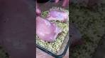 CHICKEN THIGHS 🍗✨ with Herb Crust