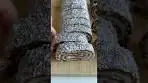 Chocolate Coconut Rolls🍫🥥 #chocolate #coconut #yummy ...