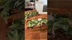 Crispy Chicken Sandwich with Pesto and Caesar Salad ...