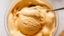 Dairy Free Ninja Creami Pumpkin Ice Cream