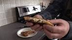 Delicious Crack Chicken Grilled Cheese Sandwich Recipe