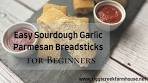 Easy Sourdough Garlic Parmesan Breadsticks | Beginner ...