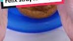 Felix Stray Kids Chocolate Chip Cookies Recipe Review