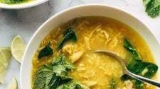 Healing Chicken and Rice Soup