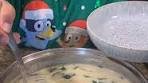 Hearty Chicken and Gnocchi Soup Recipe for Families