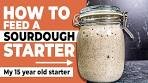 How I Feed My Sourdough Starter | How to Maintain a ...