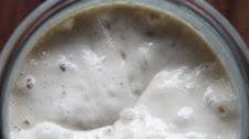 How to Feed, Maintain, and Store a Sourdough Starter