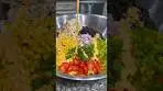 How to Make a Southwestern Ranch Pasta Salad 🤌🏼🔥