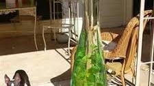Italian Herb Infused Olive Oil