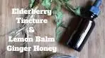 Lemon Balm Ginger Honey | Elderberry Tincture Recipes