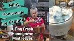 Mint,Chocolate Chip Ice Cream Using Your fresh Homegrown ...