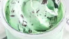 Ninja Creami Mint Chocolate Chip Ice Cream