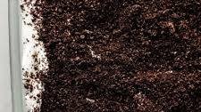 Oreo Delight