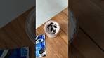 Oreo Frozen Yogurt Creami Recipe (75g Protein per tub)