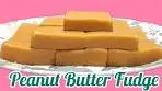 Peanut Butter Fudge ( 4 Ingredients only )