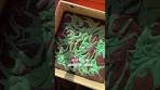 Peppermint Swirl Brownies
