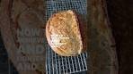 Sourdough bread (crispy and light crust creamy and airy ...