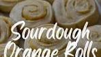 Amy Coyne | Sourdough recipes & help with your bakes | For ...