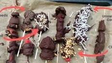Chocolate Dipped Fruit Pops