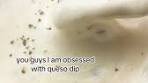 Crock pot Velveeta Queso Blanco Recipe ⬇ Here's how to ...