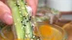 Delicious Beef Spring Rolls Recipe with Peanut Sauce