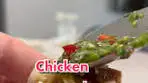 Delicious Chicken Avocado Spring Rolls Recipe