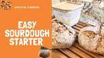 Easy Sourdough Starter with white flour
