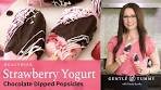 EASY Strawberry Yogurt Popsicles Dipped in Chocolate