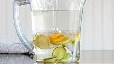 Everything Citrus Infused Water