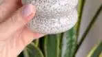 Jess Hoffman | Apple pie chia pudding because it’s apple ...