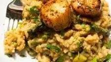 Lemon Butter Scallops With Spring Risotto