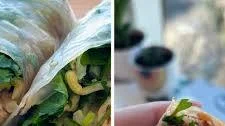 Pho Spring Rolls