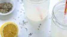 Sparkling Lavender Lemonade