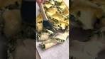 Spinach Dip Pull Apart Christmas Tree -- iamhomesteader.net