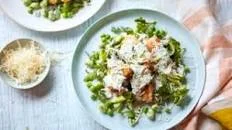 Spring chicken recipes