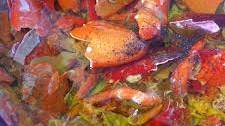 The Leftovers: Corn & Lobster Bisque with Spicy Lobster Oil