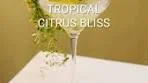 VOYA | Sip - Spark - Enjoy! | Introducing Tropical Citrus Bliss ...
