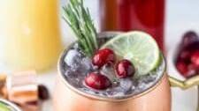 5 Minute Cranberry Gin Moscow Mule