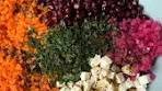 Chopped Carrot Feta Salad Recipe is in the comments.
